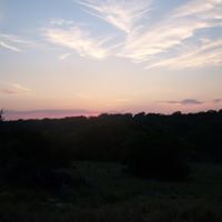 Kathleen Hann Photo 5