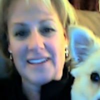 Amy Wolfe Photo 40