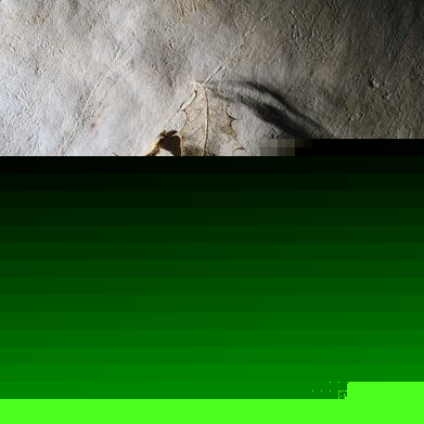 William Graves Photo 47 William Graves Photo 47