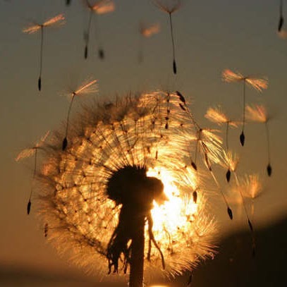 Cristina Ramirez Photo 17