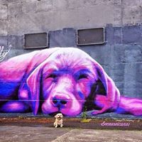 Michelle Hiles Photo 9