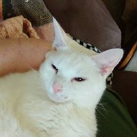 Erika Fleming Photo 12 Erika Fleming Photo 12