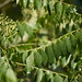 Xiang Liao Photo 20