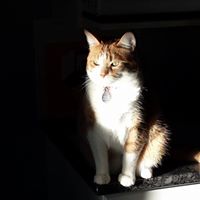 Tracy Saunders Photo 12