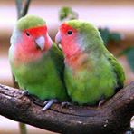 Christine Espinosa Photo 20