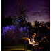 Jon Kane Photo 4