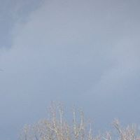 Erica Hill Photo 11 Erica Hill Photo 11