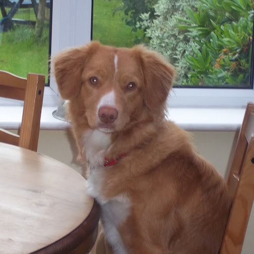 Charlie Morris Photo 37