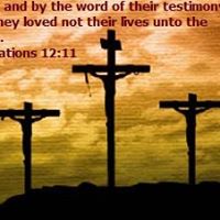 Seth Roberts Photo 32 Seth Roberts Photo 32