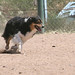 Kimberly Olson Photo 29