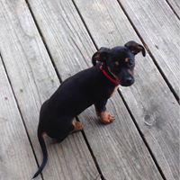 Laura Reeves Photo 13