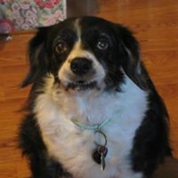 Susan Thrower Photo 18