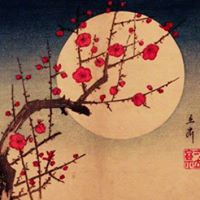 Daniel Lowery Photo 33 Daniel Lowery Photo 33