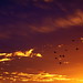 Dawn Valentine Photo 17