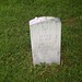 Mark Gottlieb Photo 21