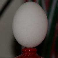 Richard Coolidge Photo 14