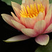 David Kennett Photo 16