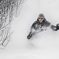 Richard Hein Photo 12