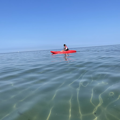 Stewart Hamilton Photo 27