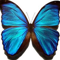 Brenda Rees Photo 10