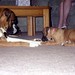 Marcie Day Photo 22