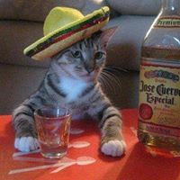 Kevin Donahue Photo 48