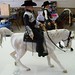 Debra Wolf Photo 19
