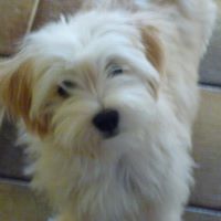 Jennifer Allan Photo 17