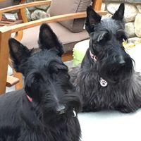 Margaret Potter Photo 40 Margaret Potter Photo 40