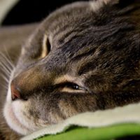 Christine Potts Photo 27