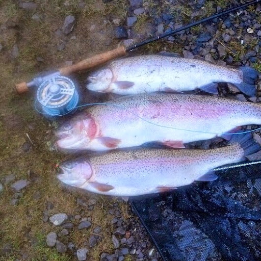 Robert Pullen Photo 30 Robert Pullen Photo 30