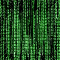 David Hefner Photo 32