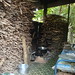 Cui Dong Photo 9
