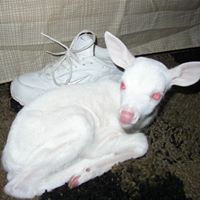 Terry Spaulding Photo 15