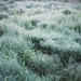 Kimberly Meadows Photo 25
