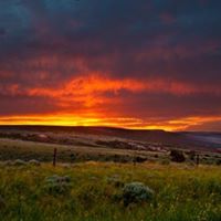 Jason Reinhardt Photo 29