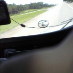 Clifton Robinson Photo 8