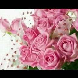 Christine Ayres Photo 5