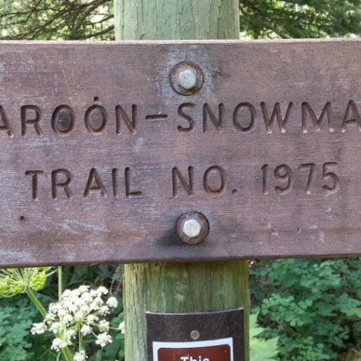 Larry Pierce Photo 26