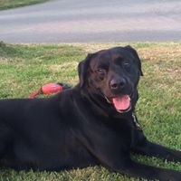 Michelle Farr Photo 22