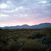 Brad Edmondson Photo 16