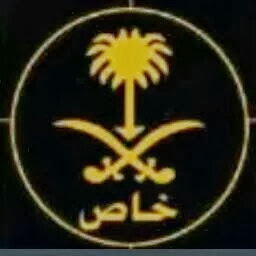 Badi Albadi Photo 5