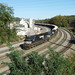 Chip Wood Photo 9
