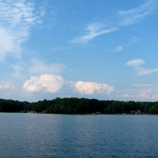 Annette Sullivan Photo 35