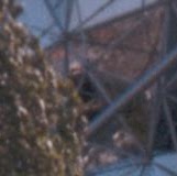 Tracy Rosenbaum Photo 5