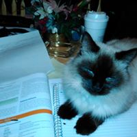 Cathy Mills Photo 44