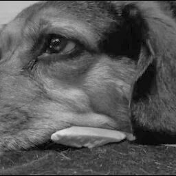 Jason Allen Photo 38 Jason Allen Photo 38