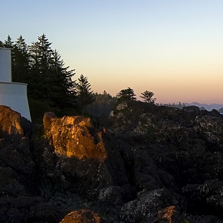 Renee Torres Photo 14