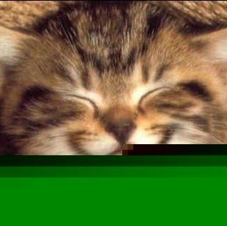 Oliver Matthews Photo 17