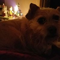 Elizabeth Dobbs Photo 18